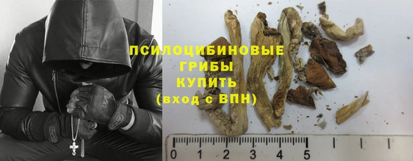 стаф Богородицк