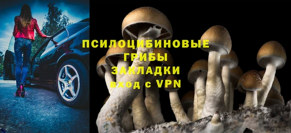 таблы Богданович