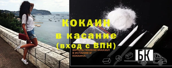 стаф Богородицк