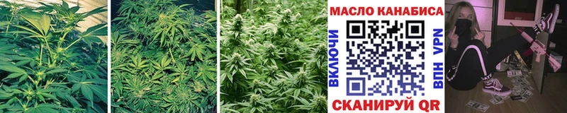 где найти   Нерюнгри  ТГК гашишное масло 