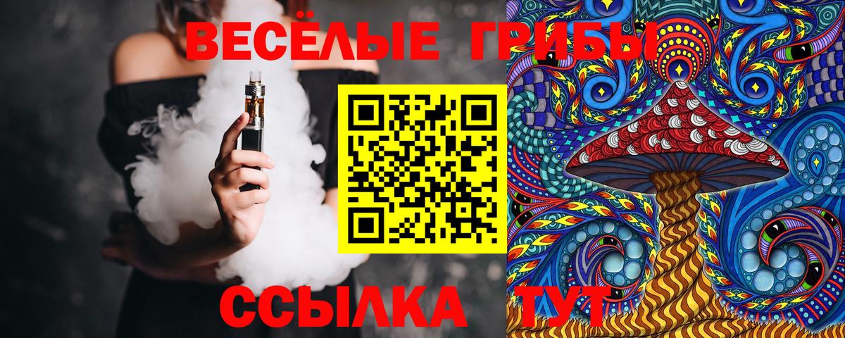 Нерюнгри  Псилоцибиновые грибы прущие грибы  Галлюциногенные грибы Cubensis  Вход с VPN 