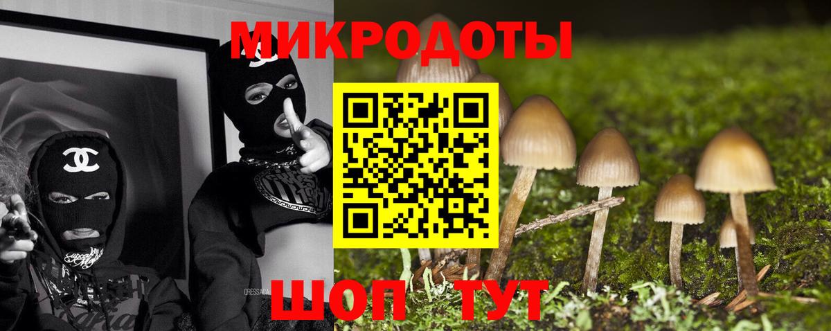 Псилоцибиновые грибы Psilocybe Нерюнгри